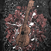 ukelele gifts
